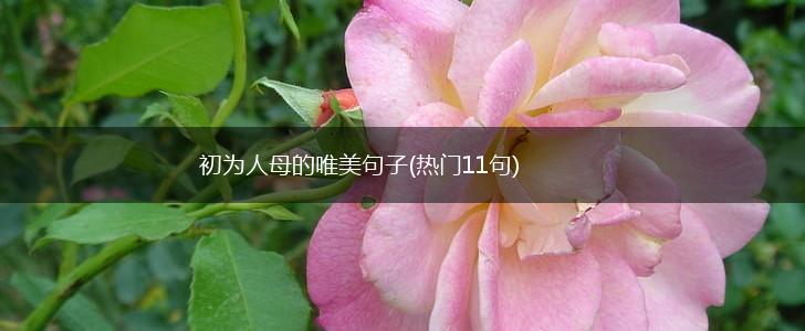 初为人母的唯美句子(热门11句),第1张