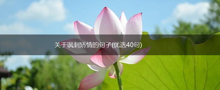关于讽刺矫情的句子(优选40句),第1张