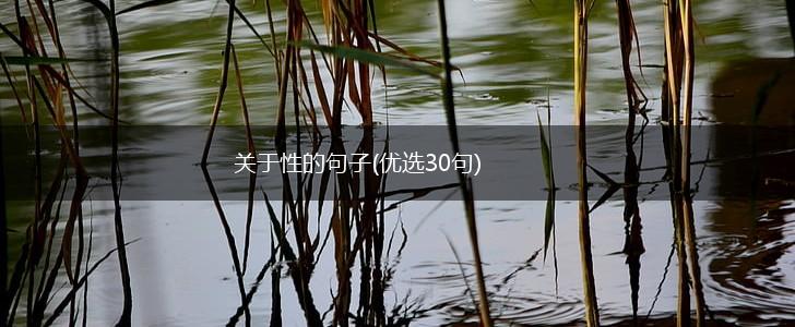关于性的句子(优选30句),第1张