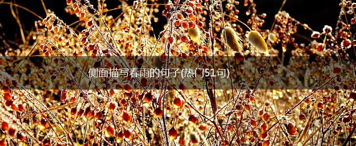 侧面描写春雨的句子(热门51句),第1张