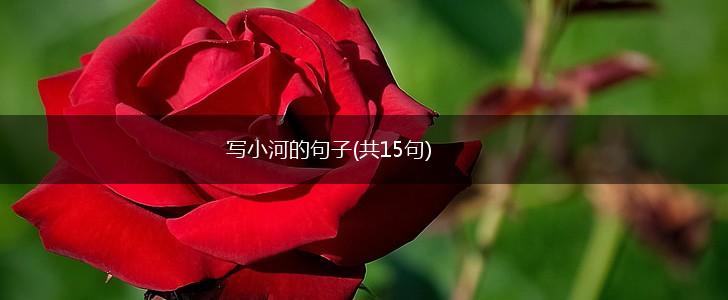 写小河的句子(共15句),第1张