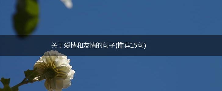 关于爱情和友情的句子(推荐15句),第1张