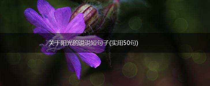 关于阳光的说说短句子(实用50句),第1张