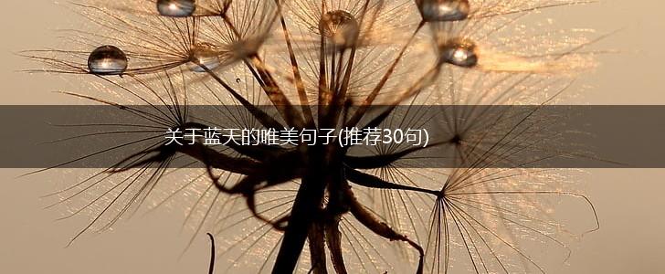关于蓝天的唯美句子(推荐30句),第1张