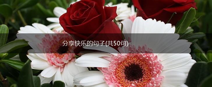 分享快乐的句子(共50句),第1张