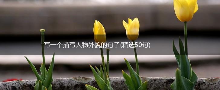 写一个描写人物外貌的句子(精选50句),第1张