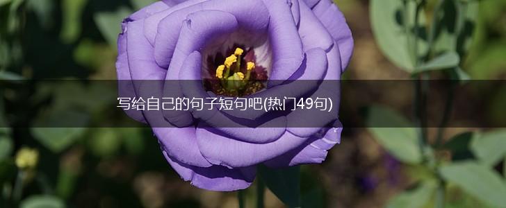 写给自己的句子短句吧(热门49句),第1张