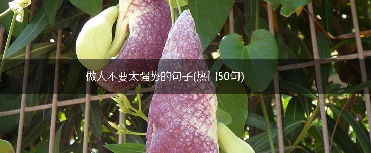 做人不要太强势的句子(热门50句),第1张