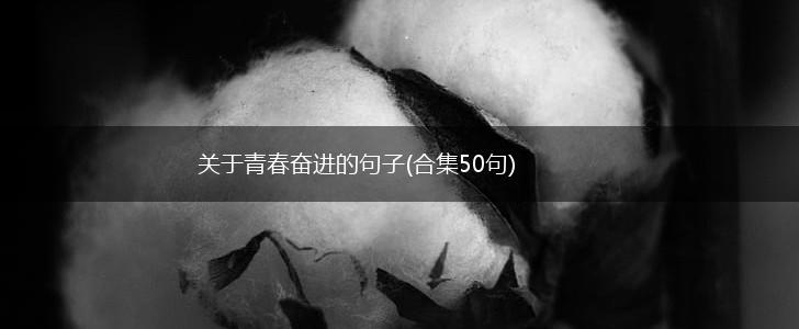 关于青春奋进的句子(合集50句),第1张
