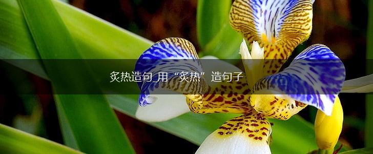 炙热造句_用“炙热”造句子,第1张