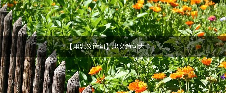 【用忠义造句】忠义造句大全,第1张