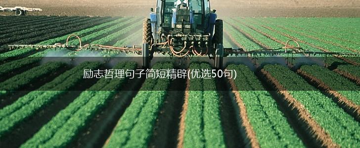 励志哲理句子简短精辟(优选50句),第1张
