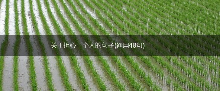 关于担心一个人的句子(通用48句),第1张
