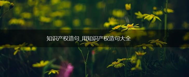 知识产权造句_用知识产权造句大全,第1张
