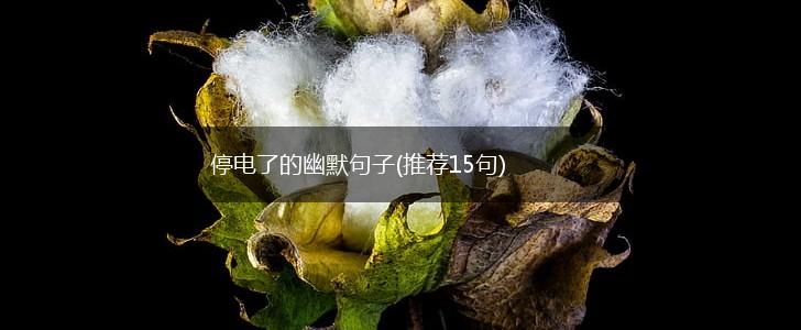 停电了的幽默句子(推荐15句),第1张