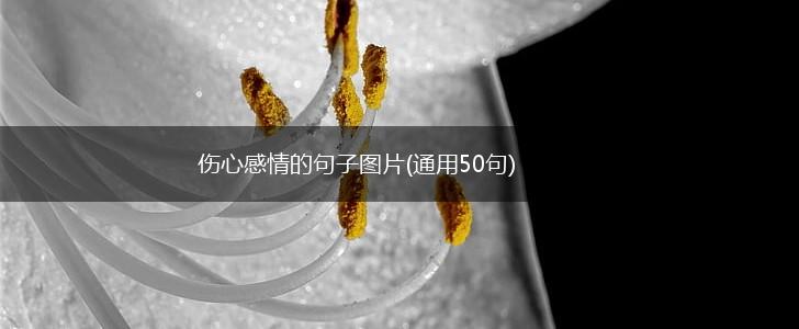 伤心感情的句子图片(通用50句),第1张