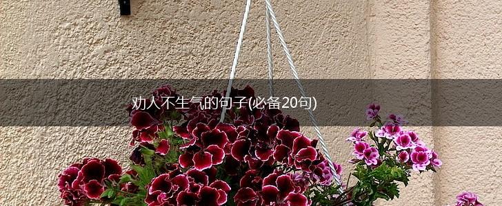 劝人不生气的句子(必备20句),第1张