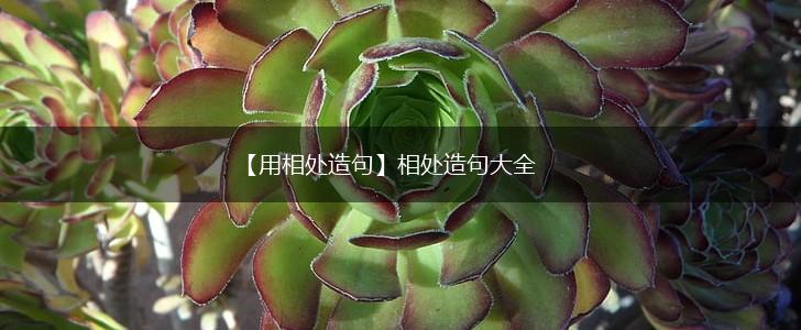【用相处造句】相处造句大全,第1张