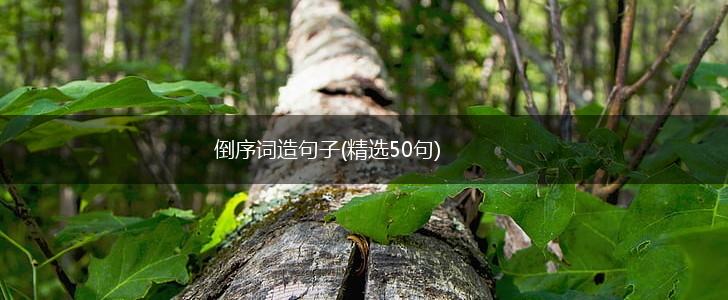 倒序词造句子(精选50句),第1张