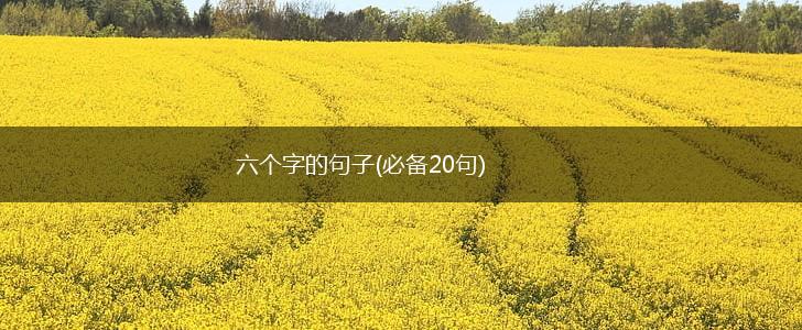 六个字的句子(必备20句),第1张
