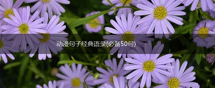 动漫句子经典语录(必备50句),第1张