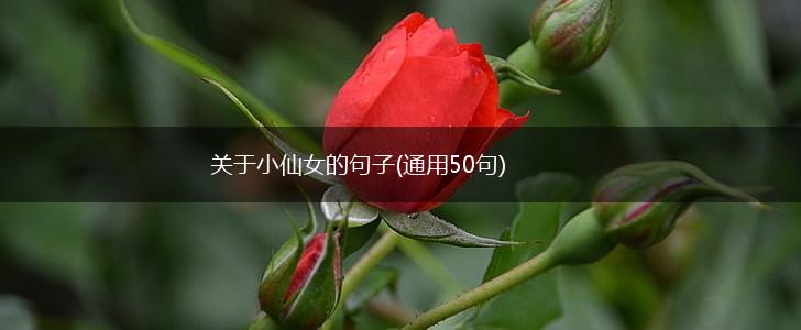 关于小仙女的句子(通用50句),第1张