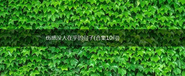 伤感没人在乎的句子(合集10句),第1张