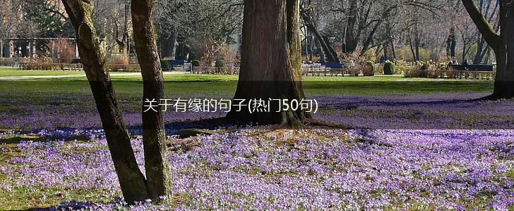 关于有缘的句子(热门50句),第1张