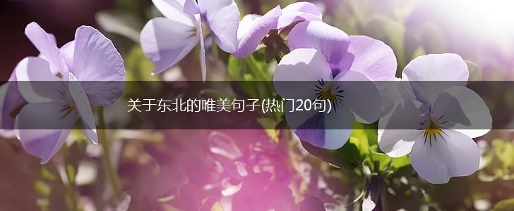 关于东北的唯美句子(热门20句),第1张