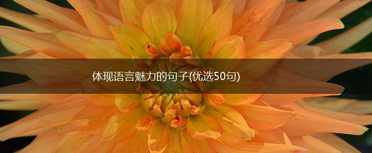 体现语言魅力的句子(优选50句),第1张