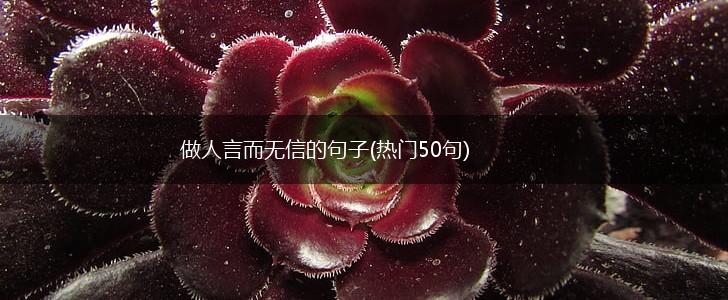 做人言而无信的句子(热门50句),第1张