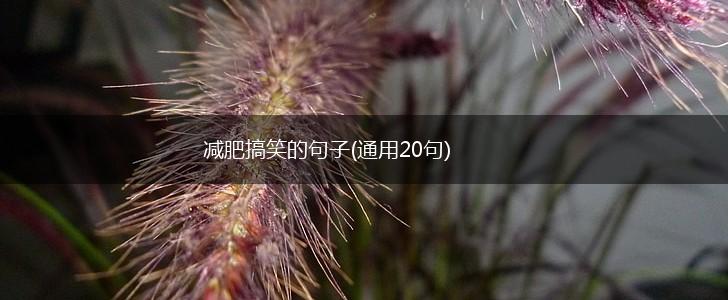 减肥搞笑的句子(通用20句),第1张