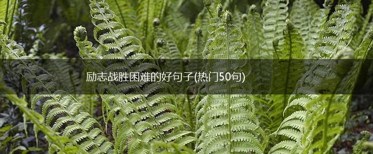 励志战胜困难的好句子(热门50句),第1张