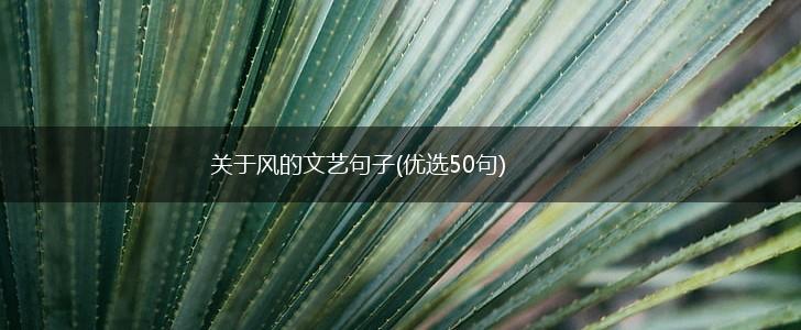 关于风的文艺句子(优选50句),第1张
