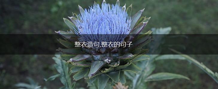 整衣造句,整衣的句子,第1张