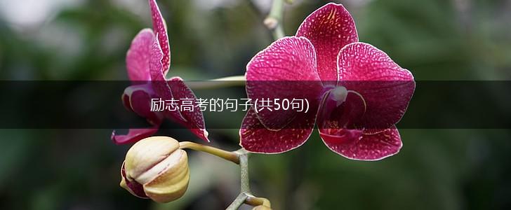 励志高考的句子(共50句),第1张