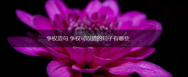争权造句 争权可以造的句子有哪些,第1张