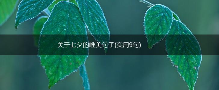 关于七夕的唯美句子(实用9句),第1张