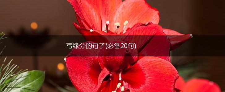 写缘分的句子(必备20句),第1张