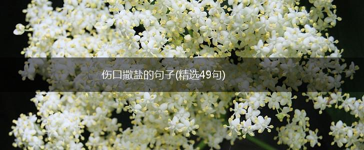 伤口撒盐的句子(精选49句),第1张