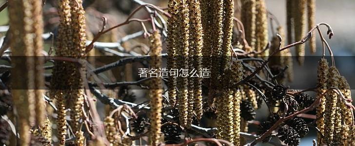 著名造句怎么造,第1张