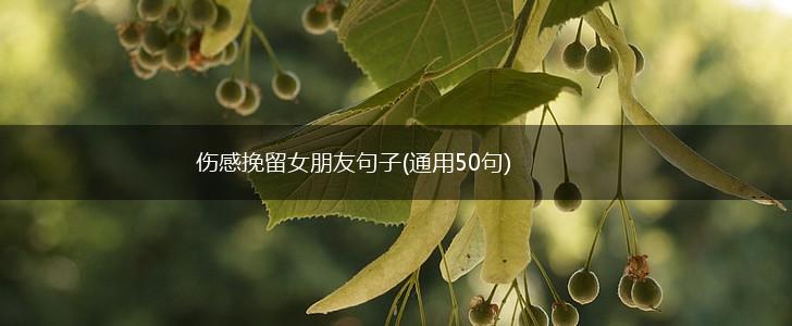 伤感挽留女朋友句子(通用50句),第1张