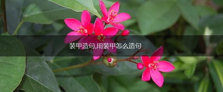 装甲造句,用装甲怎么造句,第1张