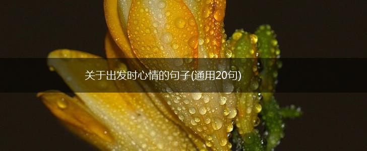 关于出发时心情的句子(通用20句),第1张
