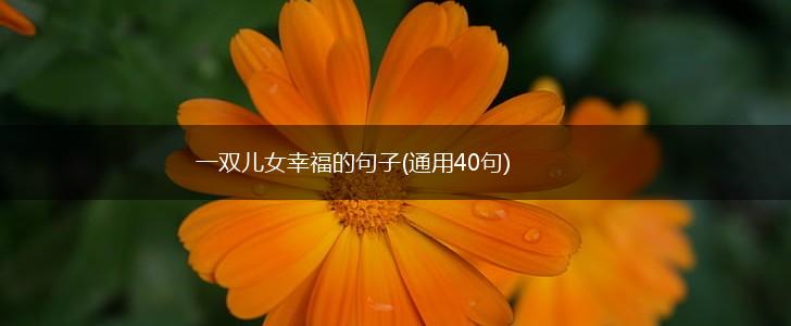 一双儿女幸福的句子(通用40句),第1张