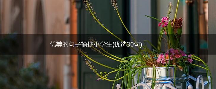 优美的句子摘抄小学生(优选30句),第1张