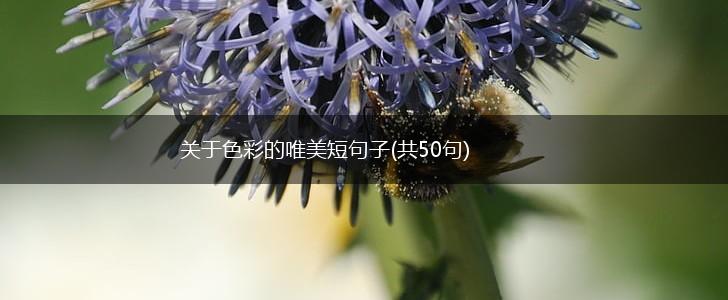 关于色彩的唯美短句子(共50句),第1张