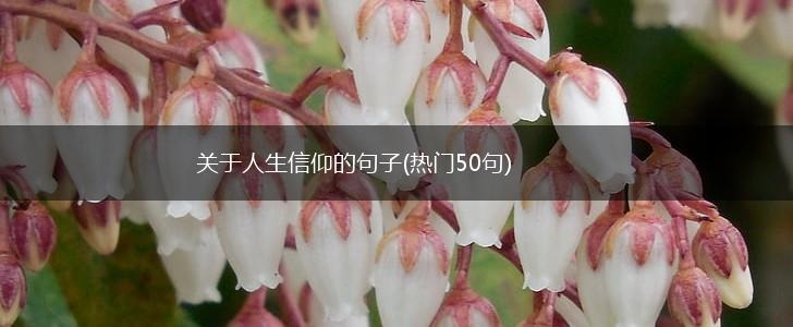 关于人生信仰的句子(热门50句),第1张