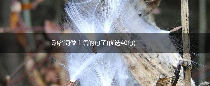 动名词做主语的句子(优选40句),第1张