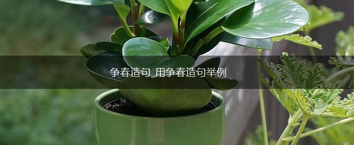 争春造句_用争春造句举例,第1张